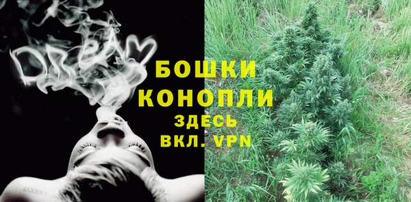 сатива Нея