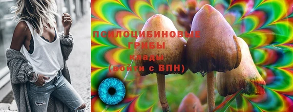 сатива Нея