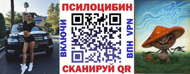 omg ССЫЛКА  Полярный  Псилоцибиновые грибы MAGIC MUSHROOMS  сайты даркнета наркотические препараты  где можно купить  